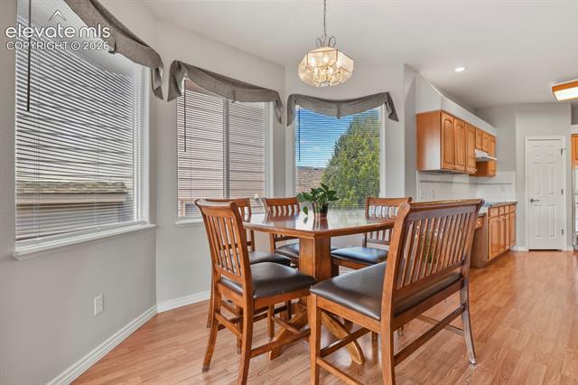 MLS Image for 1355  Almagre Peak  ,Colorado Springs, Colorado