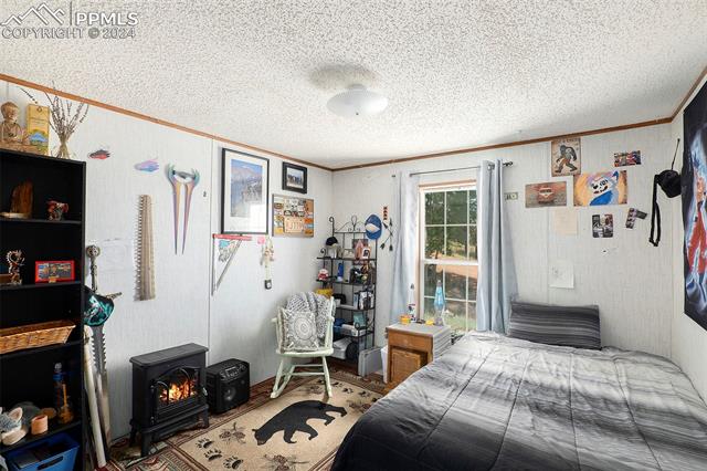 MLS Image for 43  Bison  ,Florissant, Colorado