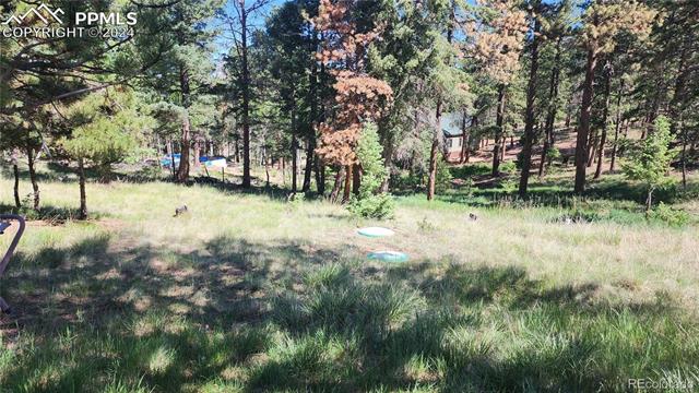 MLS Image for 43  Bison  ,Florissant, Colorado