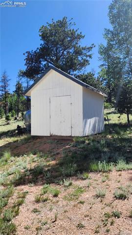 MLS Image for 43  Bison  ,Florissant, Colorado