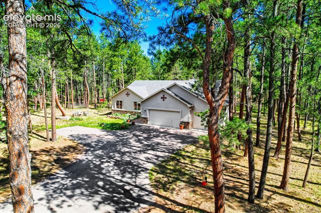 MLS Image for 8750  Tannenbaum  ,Colorado Springs, Colorado