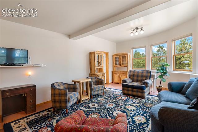 MLS Image for 9  Arapahoe  ,Woodland Park, Colorado