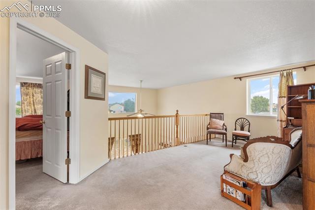 MLS Image for 8654  Champie  ,Peyton, Colorado