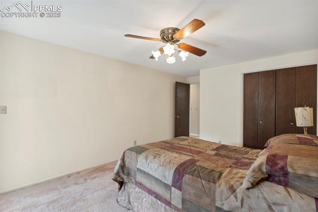 MLS Image for 4101  Crocus  ,Colorado Springs, Colorado