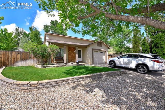 MLS Image for 3702  Red Cedar  ,Colorado Springs, Colorado