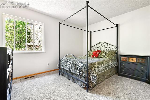 MLS Image for 3702  Red Cedar  ,Colorado Springs, Colorado