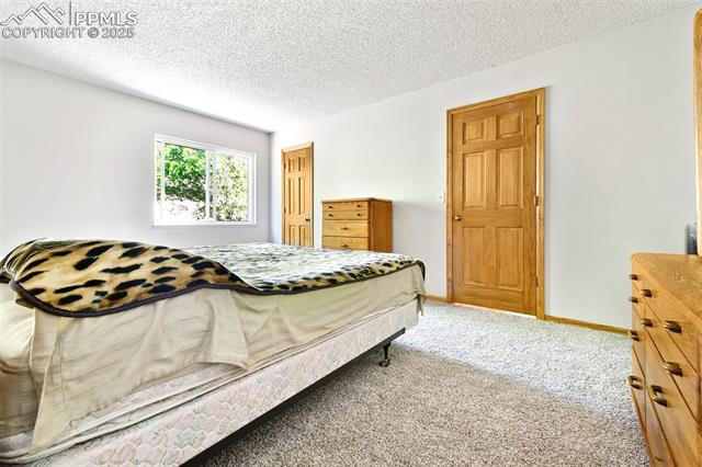 MLS Image for 3702  Red Cedar  ,Colorado Springs, Colorado