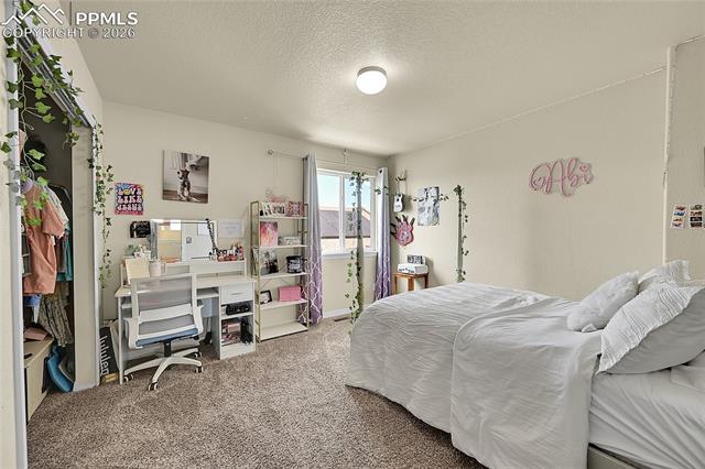 MLS Image for 10225  Mt Lincoln  ,Peyton, Colorado