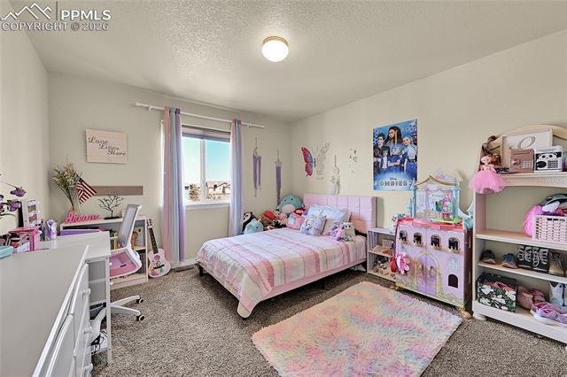 MLS Image for 10225  Mt Lincoln  ,Peyton, Colorado