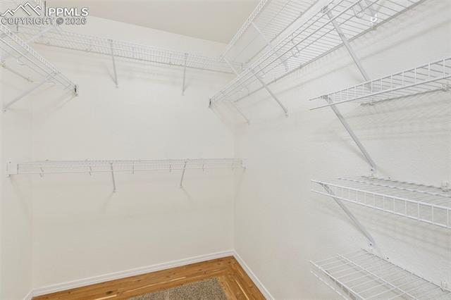 MLS Image for 14658  Allegiance  ,Colorado Springs, Colorado