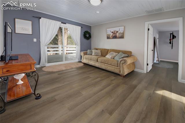MLS Image for 430  Shady  ,Woodland Park, Colorado