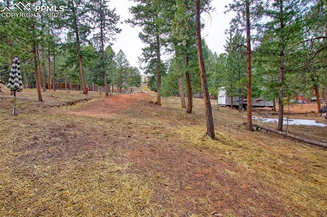 MLS Image for 430  Shady  ,Woodland Park, Colorado