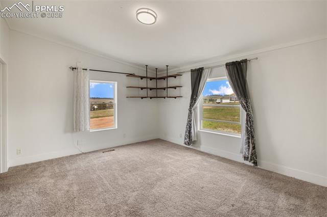MLS Image for 527  Golden Grain  ,Divide, Colorado