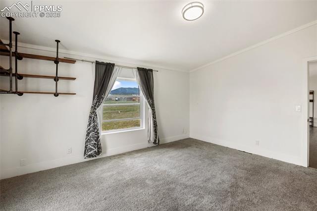 MLS Image for 527  Golden Grain  ,Divide, Colorado