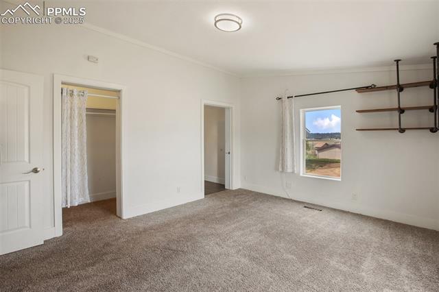 MLS Image for 527  Golden Grain  ,Divide, Colorado