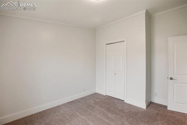 MLS Image for 527  Golden Grain  ,Divide, Colorado