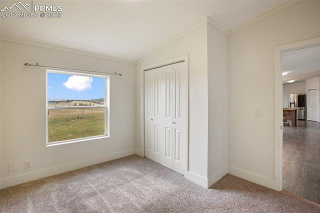 MLS Image for 527  Golden Grain  ,Divide, Colorado