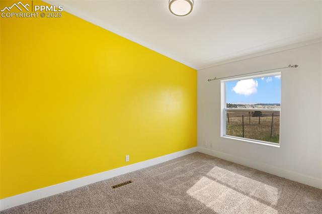 MLS Image for 527  Golden Grain  ,Divide, Colorado