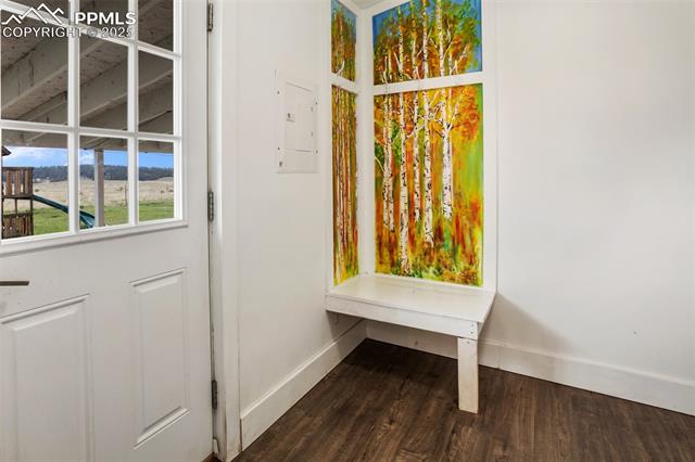 MLS Image for 527  Golden Grain  ,Divide, Colorado