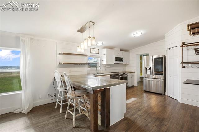 MLS Image for 527  Golden Grain  ,Divide, Colorado