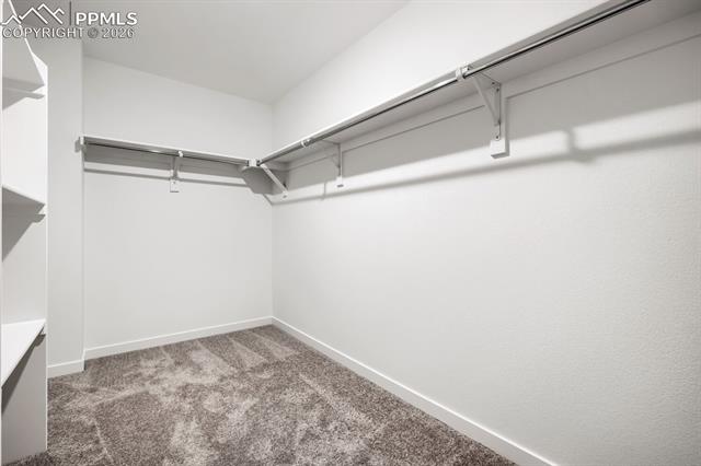 MLS Image for 7767  Desert Wrangler  ,Colorado Springs, Colorado