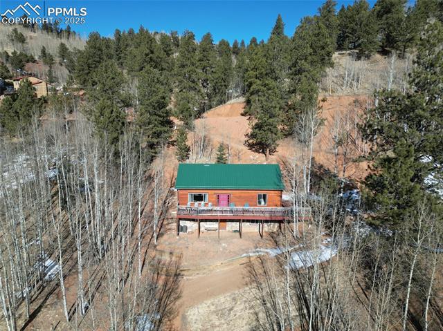 MLS Image for 176  Pikes Peak  ,Divide, Colorado