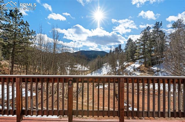 MLS Image for 176  Pikes Peak  ,Divide, Colorado