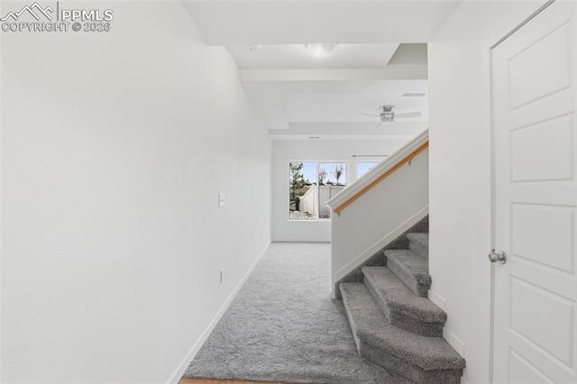 MLS Image for 6745  Shadow Star  ,Colorado Springs, Colorado