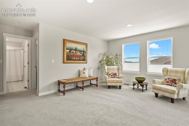 MLS Image for 17687  Lemon Rye  ,Monument, Colorado