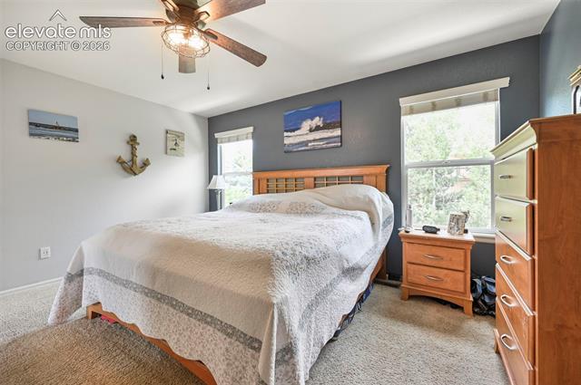 MLS Image for 713  Saber Creek  ,Monument, Colorado