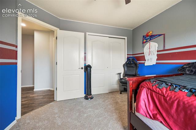MLS Image for 713  Saber Creek  ,Monument, Colorado
