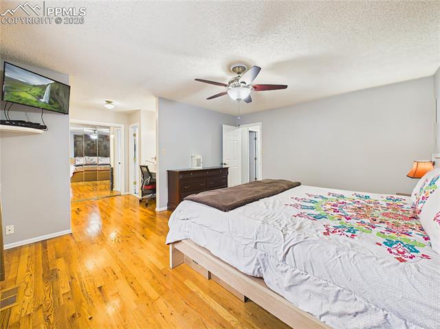 MLS Image for 6417  Dewsbury  ,Colorado Springs, Colorado