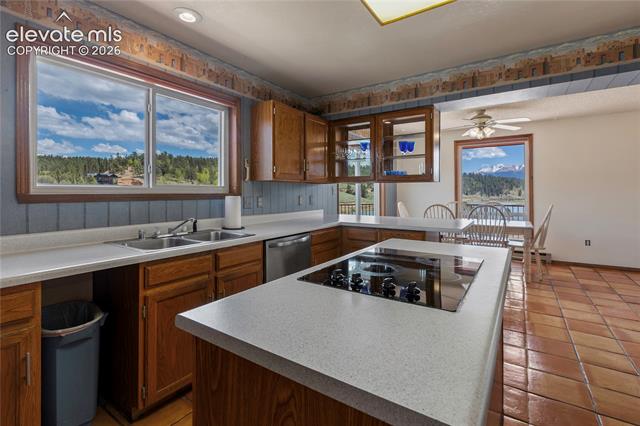 MLS Image for 1506  Lake  ,Divide, Colorado