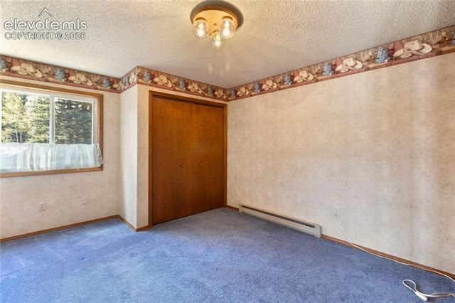 MLS Image for 1506  Lake  ,Divide, Colorado