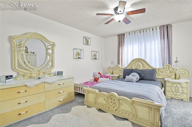 MLS Image for 3643  Bareback  ,Colorado Springs, Colorado