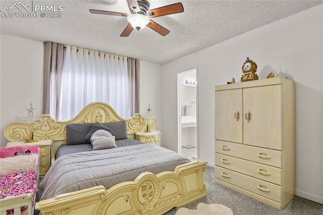 MLS Image for 3643  Bareback  ,Colorado Springs, Colorado