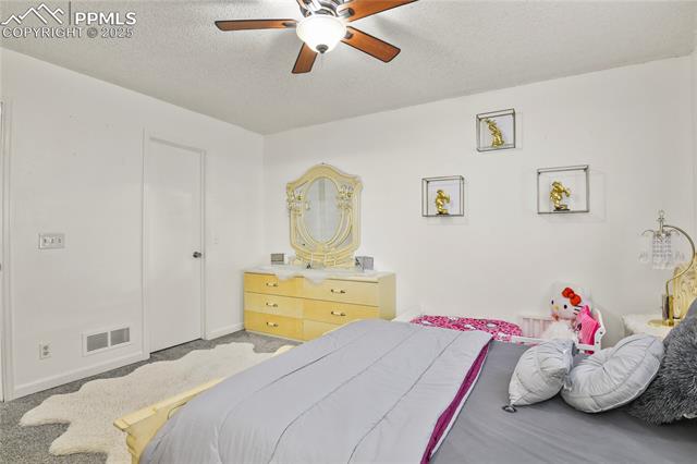 MLS Image for 3643  Bareback  ,Colorado Springs, Colorado