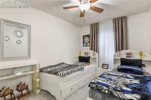 MLS Image for 3643  Bareback  ,Colorado Springs, Colorado