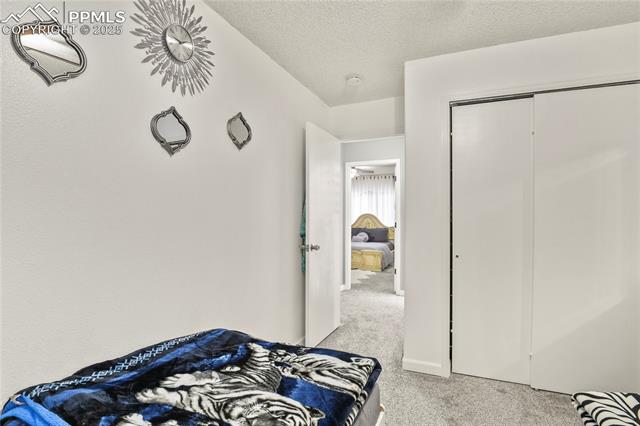 MLS Image for 3643  Bareback  ,Colorado Springs, Colorado