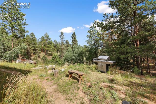 MLS Image for 410  Rangeview  ,Divide, Colorado