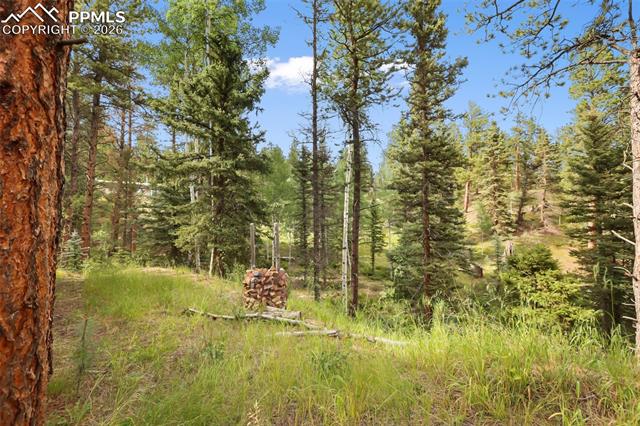MLS Image for 410  Rangeview  ,Divide, Colorado