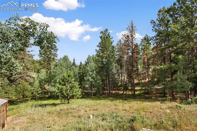 MLS Image for 410  Rangeview  ,Divide, Colorado