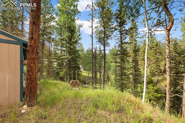 MLS Image for 410  Rangeview  ,Divide, Colorado