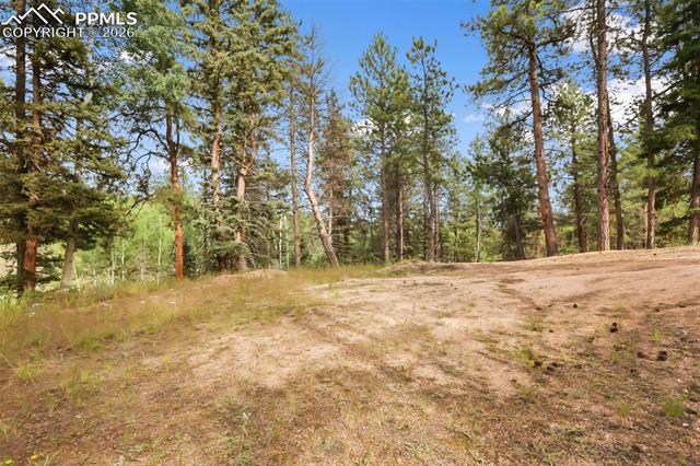MLS Image for 410  Rangeview  ,Divide, Colorado
