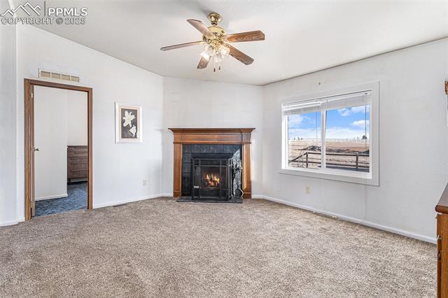 MLS Image for 14870  Pamela  ,Peyton, Colorado