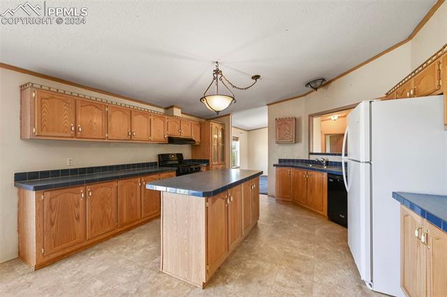 MLS Image for 217 E Minstrel  ,Divide, Colorado