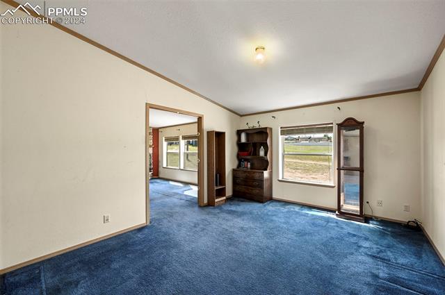 MLS Image for 217 E Minstrel  ,Divide, Colorado