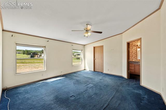 MLS Image for 217 E Minstrel  ,Divide, Colorado