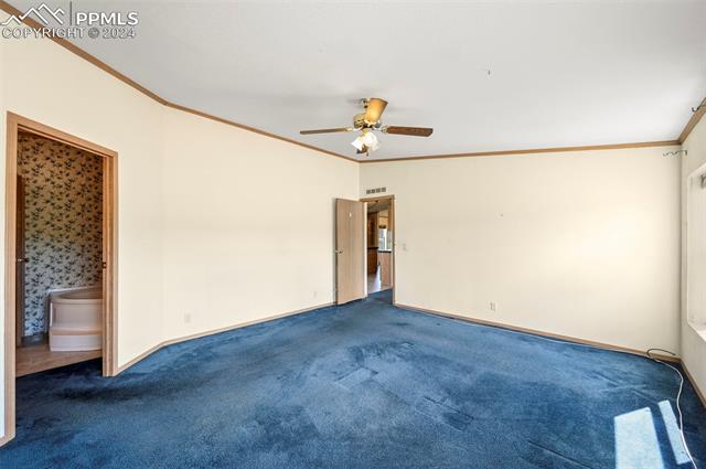 MLS Image for 217 E Minstrel  ,Divide, Colorado