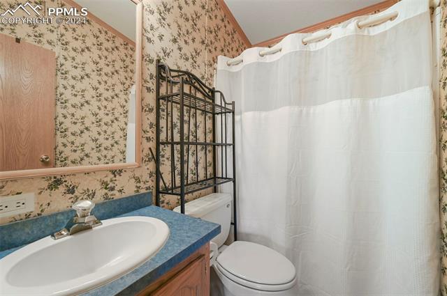 MLS Image for 217 E Minstrel  ,Divide, Colorado